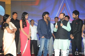 Gaddam Gang Movie Audio Launch